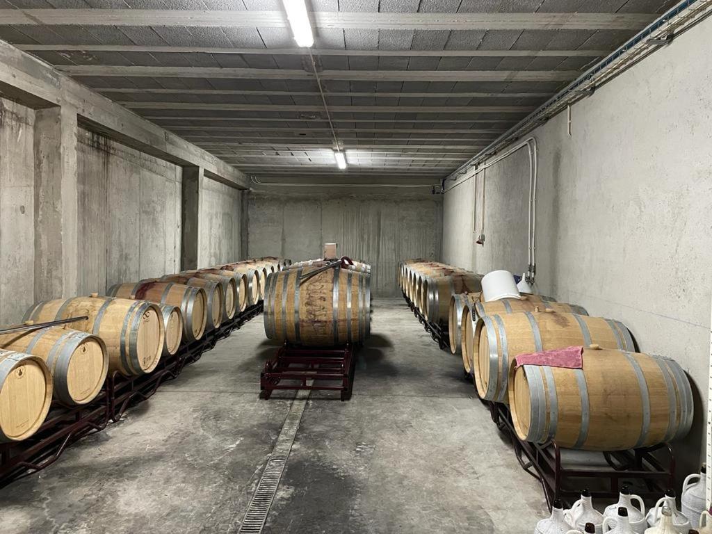 Quinta Da Penada - Vineyard & Winery - Suite 3 Chaves Exterior photo